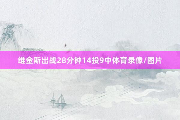 维金斯出战28分钟14投9中体育录像/图片