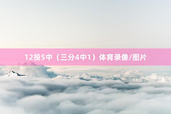 12投5中（三分4中1）体育录像/图片