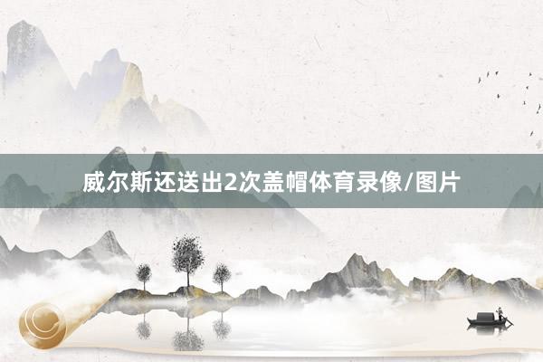 威尔斯还送出2次盖帽体育录像/图片
