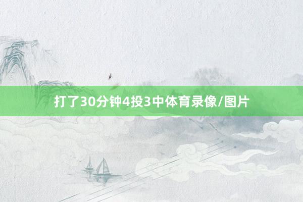 打了30分钟4投3中体育录像/图片