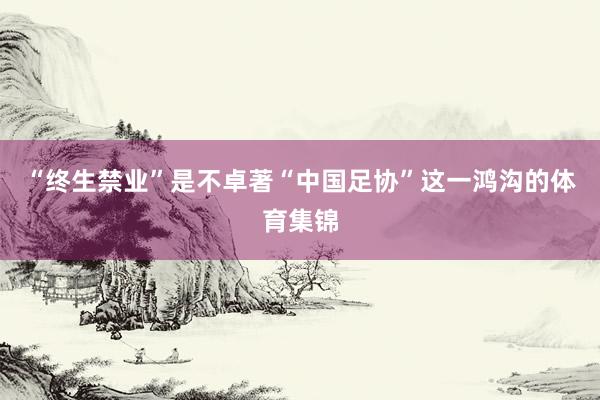 “终生禁业”是不卓著“中国足协”这一鸿沟的体育集锦