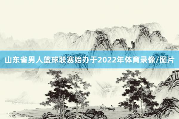 山东省男人篮球联赛始办于2022年体育录像/图片