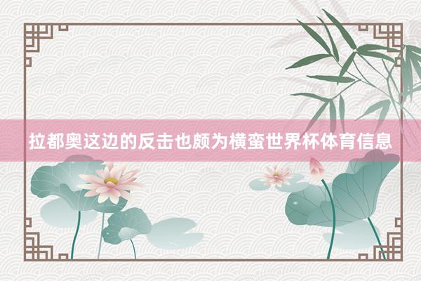 拉都奥这边的反击也颇为横蛮世界杯体育信息