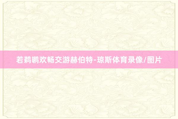 若鹈鹕欢畅交游赫伯特-琼斯体育录像/图片