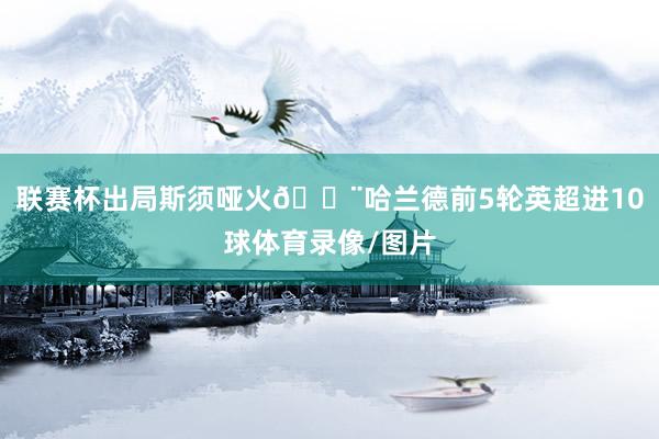 联赛杯出局斯须哑火😨哈兰德前5轮英超进10球体育录像/图片