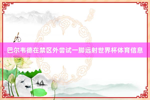 巴尔韦德在禁区外尝试一脚远射世界杯体育信息