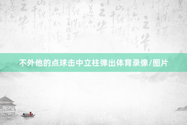 不外他的点球击中立柱弹出体育录像/图片