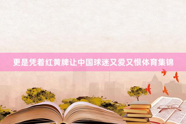更是凭着红黄牌让中国球迷又爱又恨体育集锦