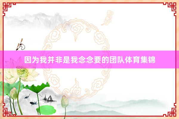 因为我并非是我念念要的团队体育集锦