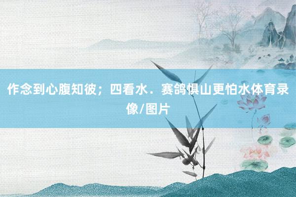 作念到心腹知彼;四看水.赛鸽惧山更怕水体育录像/图片