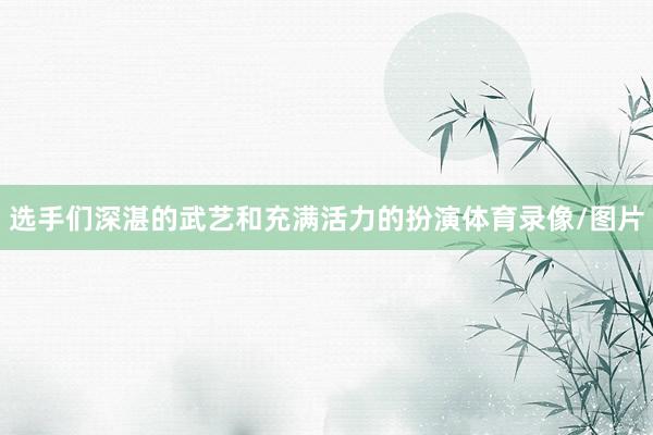 选手们深湛的武艺和充满活力的扮演体育录像/图片
