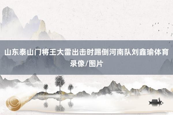 山东泰山门将王大雷出击时踢倒河南队刘鑫瑜体育录像/图片