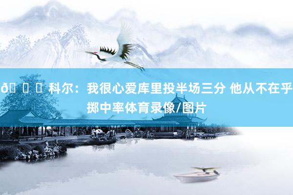 🌊科尔：我很心爱库里投半场三分 他从不在乎掷中率体育录像/图片