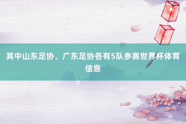 其中山东足协、广东足协各有5队参赛世界杯体育信息