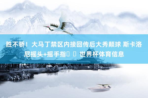 胜不骄！大马丁禁区内接回传后大秀颠球 斯卡洛尼摇头+摇手指☝️世界杯体育信息