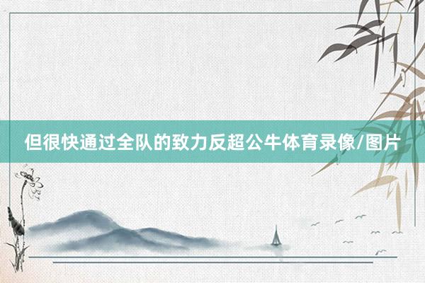 但很快通过全队的致力反超公牛体育录像/图片