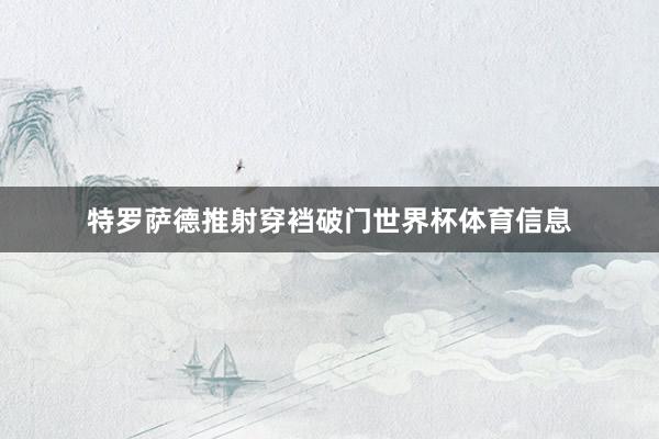 特罗萨德推射穿裆破门世界杯体育信息