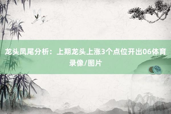 龙头凤尾分析:上期龙头上涨3个点位开出06体育录像/图片