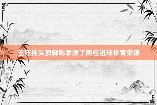 王钰栋头顶脚踢孝顺了两粒进球体育集锦