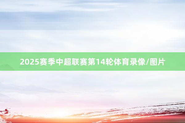 2025赛季中超联赛第14轮体育录像/图片