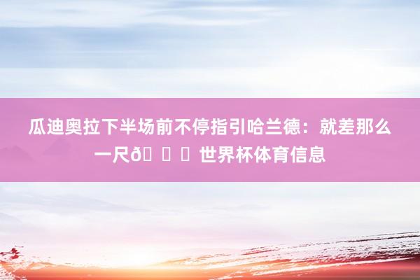 瓜迪奥拉下半场前不停指引哈兰德：就差那么一尺👉世界杯体育信息