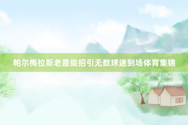 帕尔梅拉斯老是能招引无数球迷到场体育集锦