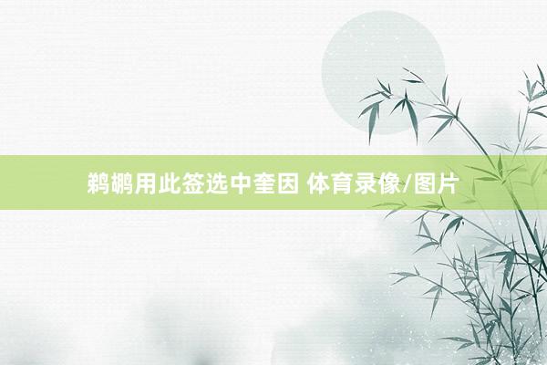 鹈鹕用此签选中奎因 体育录像/图片