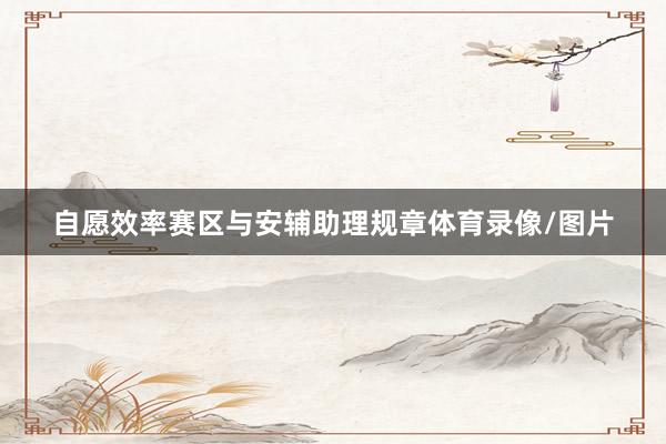 自愿效率赛区与安辅助理规章体育录像/图片