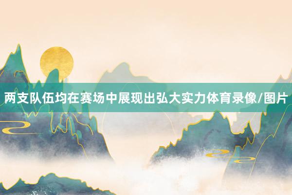 两支队伍均在赛场中展现出弘大实力体育录像/图片