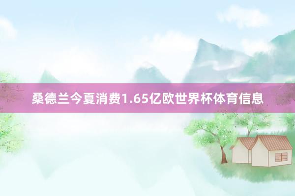 桑德兰今夏消费1.65亿欧世界杯体育信息