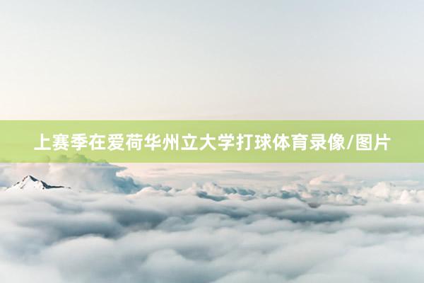 上赛季在爱荷华州立大学打球体育录像/图片