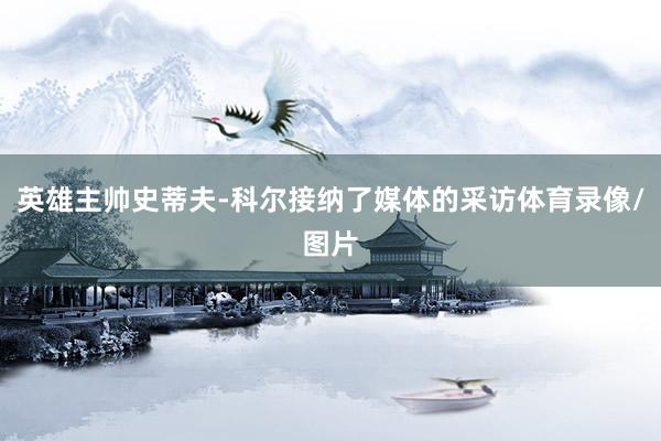 英雄主帅史蒂夫-科尔接纳了媒体的采访体育录像/图片