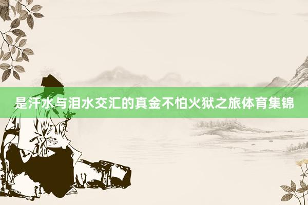 是汗水与泪水交汇的真金不怕火狱之旅体育集锦