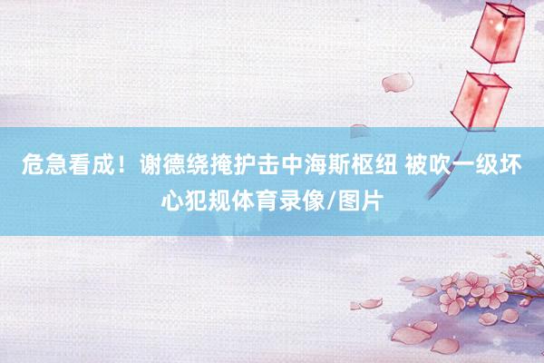 危急看成！谢德绕掩护击中海斯枢纽 被吹一级坏心犯规体育录像/图片