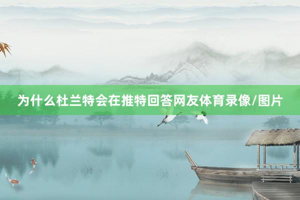为什么杜兰特会在推特回答网友体育录像/图片