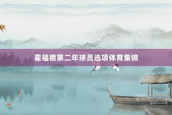 霍福德第二年球员选项体育集锦