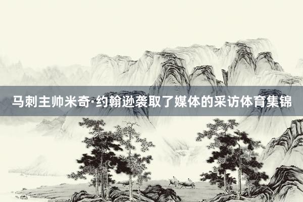 马刺主帅米奇·约翰逊袭取了媒体的采访体育集锦