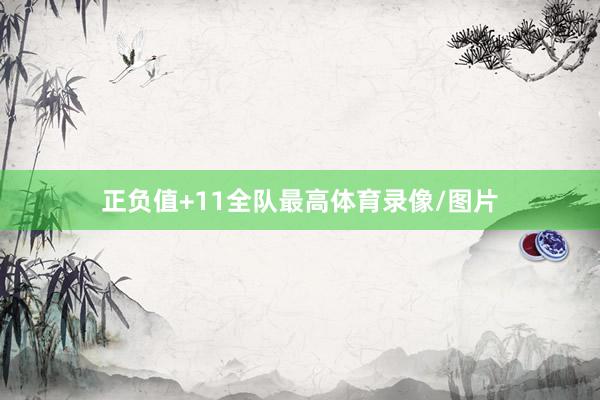 正负值+11全队最高体育录像/图片
