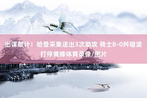 出谋献计！哈登采集送出3次助攻 骑士8-0舛错波打停黄蜂体育录像/图片