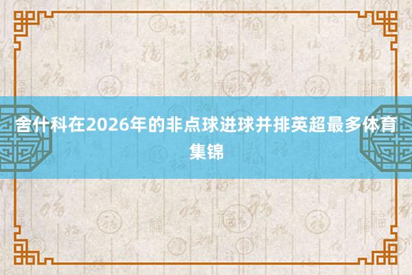 舍什科在2026年的非点球进球并排英超最多体育集锦