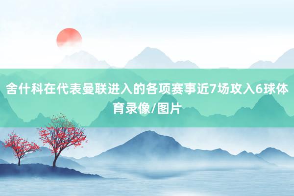 舍什科在代表曼联进入的各项赛事近7场攻入6球体育录像/图片