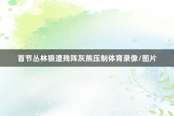 首节丛林狼遭残阵灰熊压制体育录像/图片