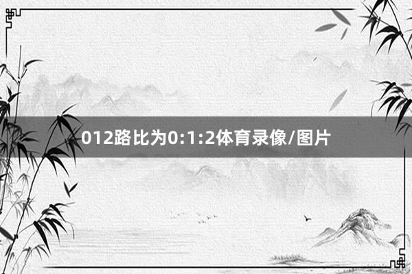 012路比为0:1:2体育录像/图片