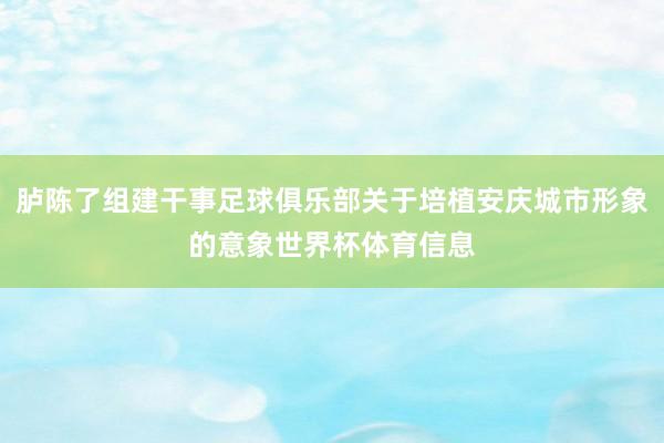 胪陈了组建干事足球俱乐部关于培植安庆城市形象的意象世界杯体育信息