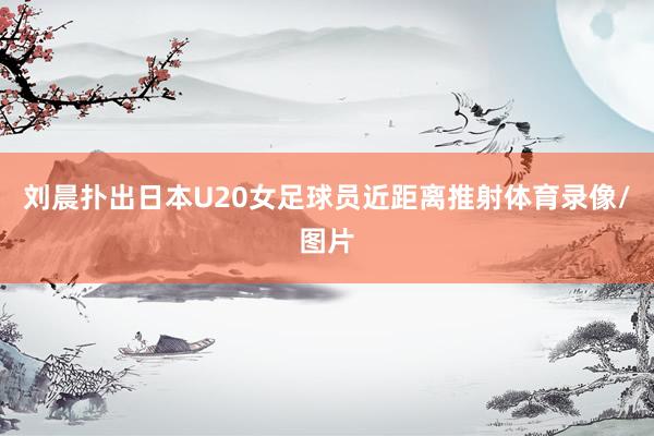 刘晨扑出日本U20女足球员近距离推射体育录像/图片