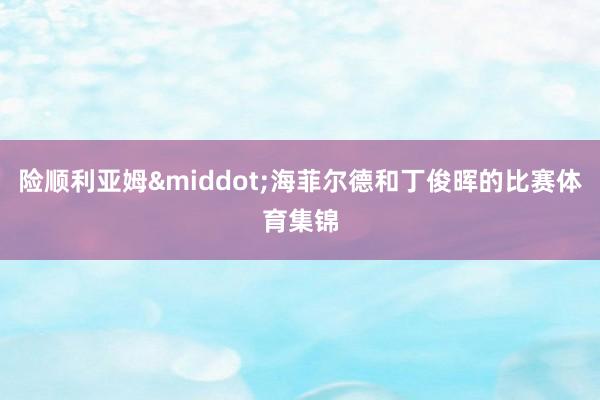 险顺利亚姆&middot;海菲尔德和丁俊晖的比赛体育集锦