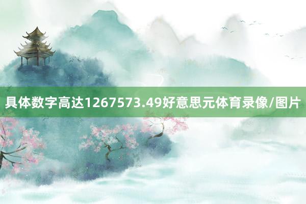 具体数字高达1267573.49好意思元体育录像/图片