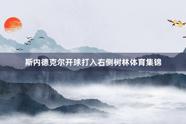 斯内德克尔开球打入右侧树林体育集锦