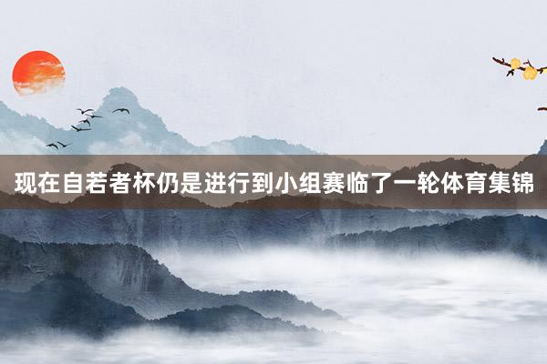 现在自若者杯仍是进行到小组赛临了一轮体育集锦
