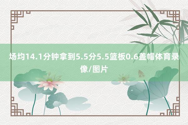 场均14.1分钟拿到5.5分5.5篮板0.6盖帽体育录像/图片